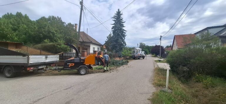 Fakivágás